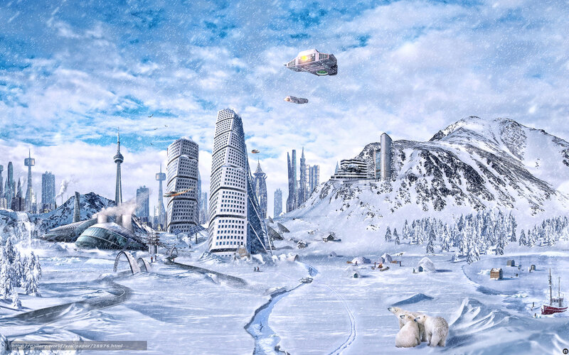 Polar Bears in Snow — White, Cold, Winter