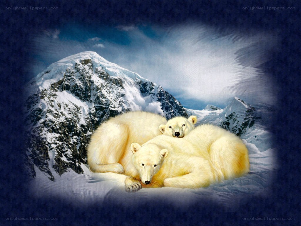 Polar bears in snowy mountains