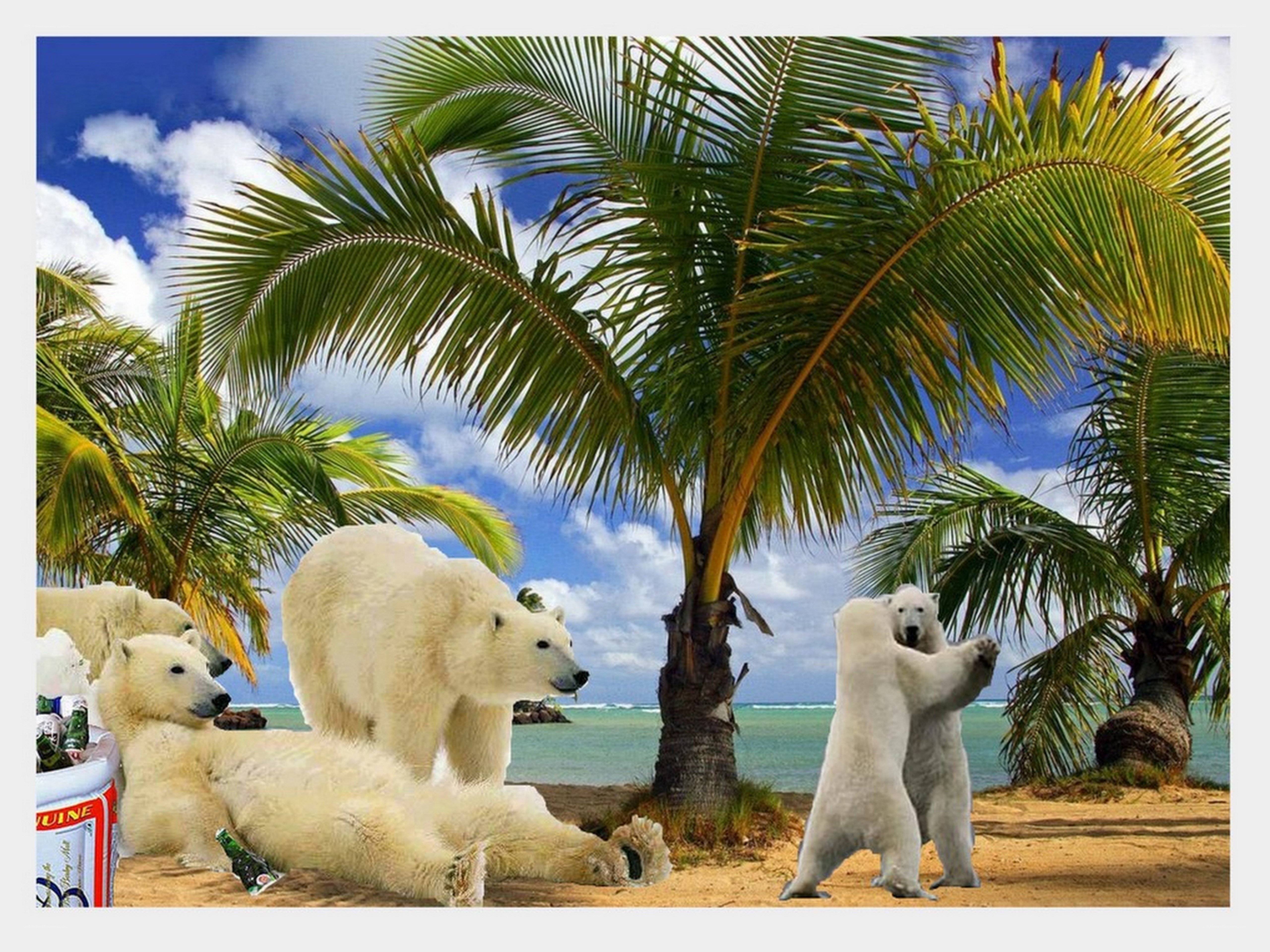 Polar bears on a tropical beach