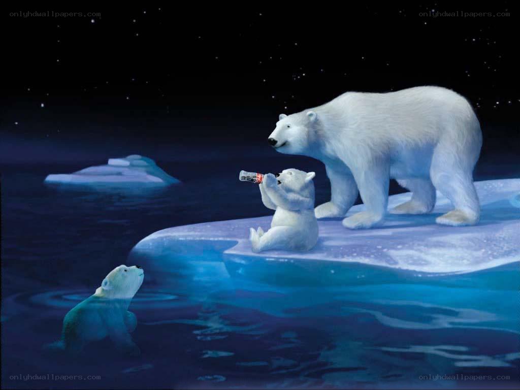 Polar bears on ice
