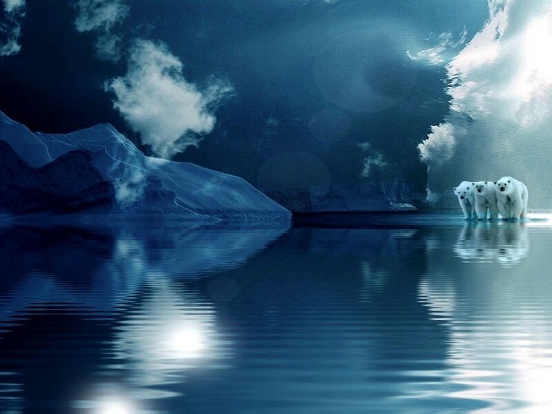 Polar Bears on Ice — Blue, Dramatic, Night