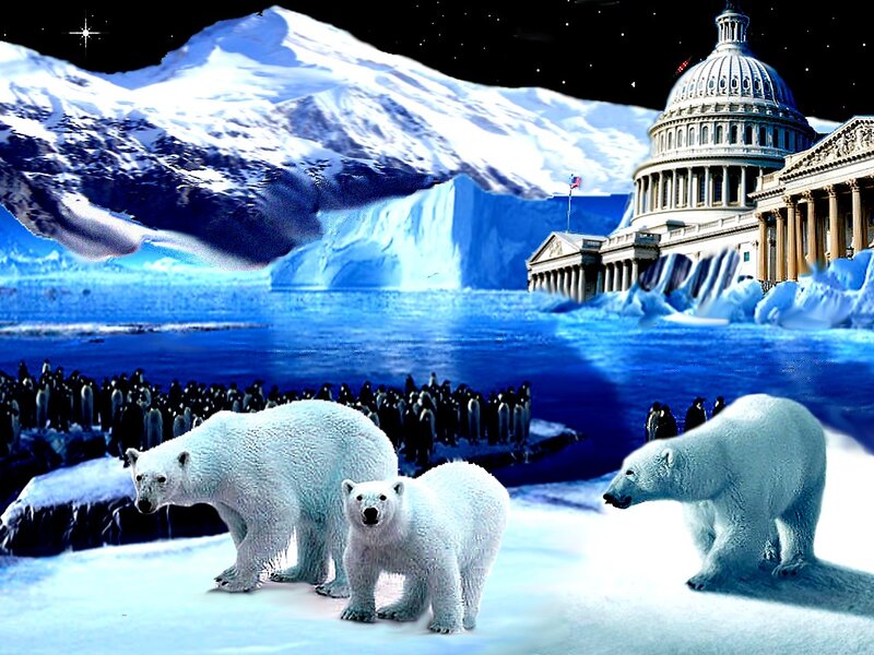 Polar Bears on Ice — Blue, Dramatic