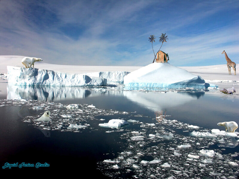 Polar Bears on Ice — Blue