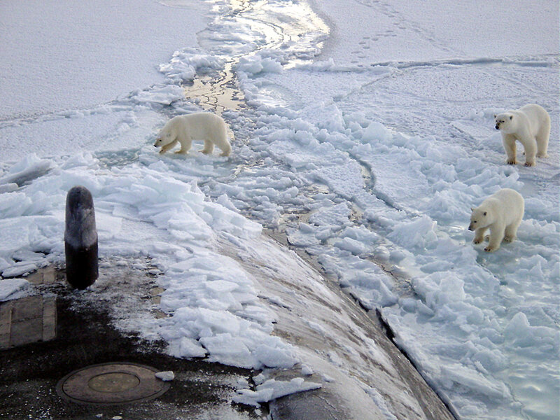 Polar bears on ice near submarine