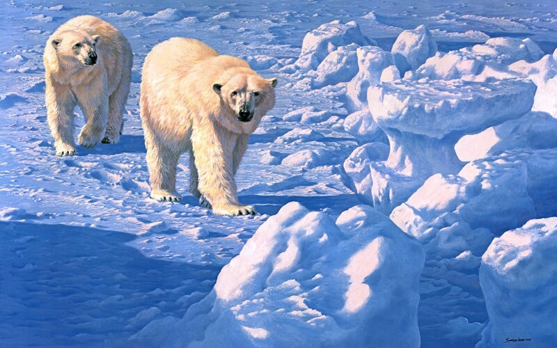 Polar Bears on Ice — White, Cold, Winter, Painting