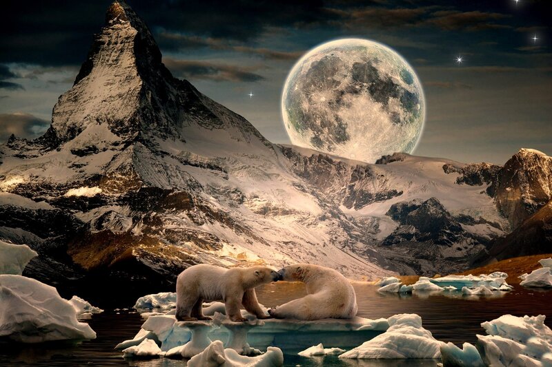 Polar Bears on Ice — White, Dramatic, Night, Digital Art