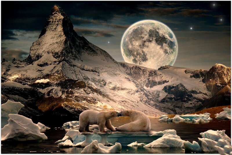 Polar Bears on Ice — White, Dramatic, Night