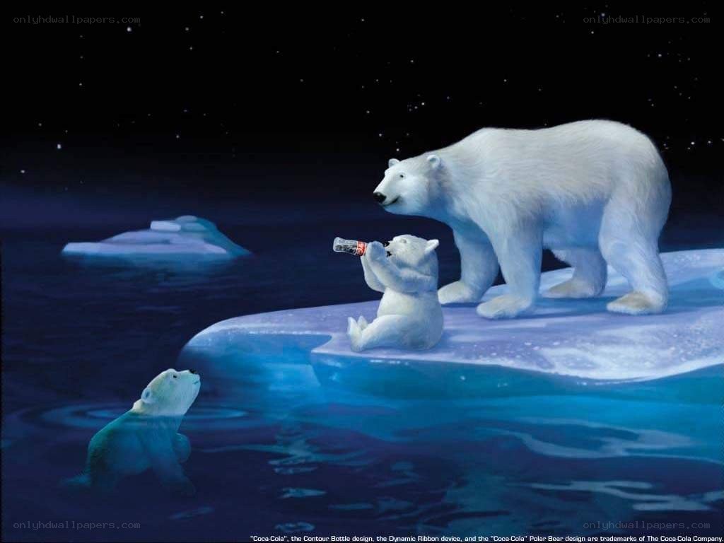 Polar bears on ice with Coca-Cola