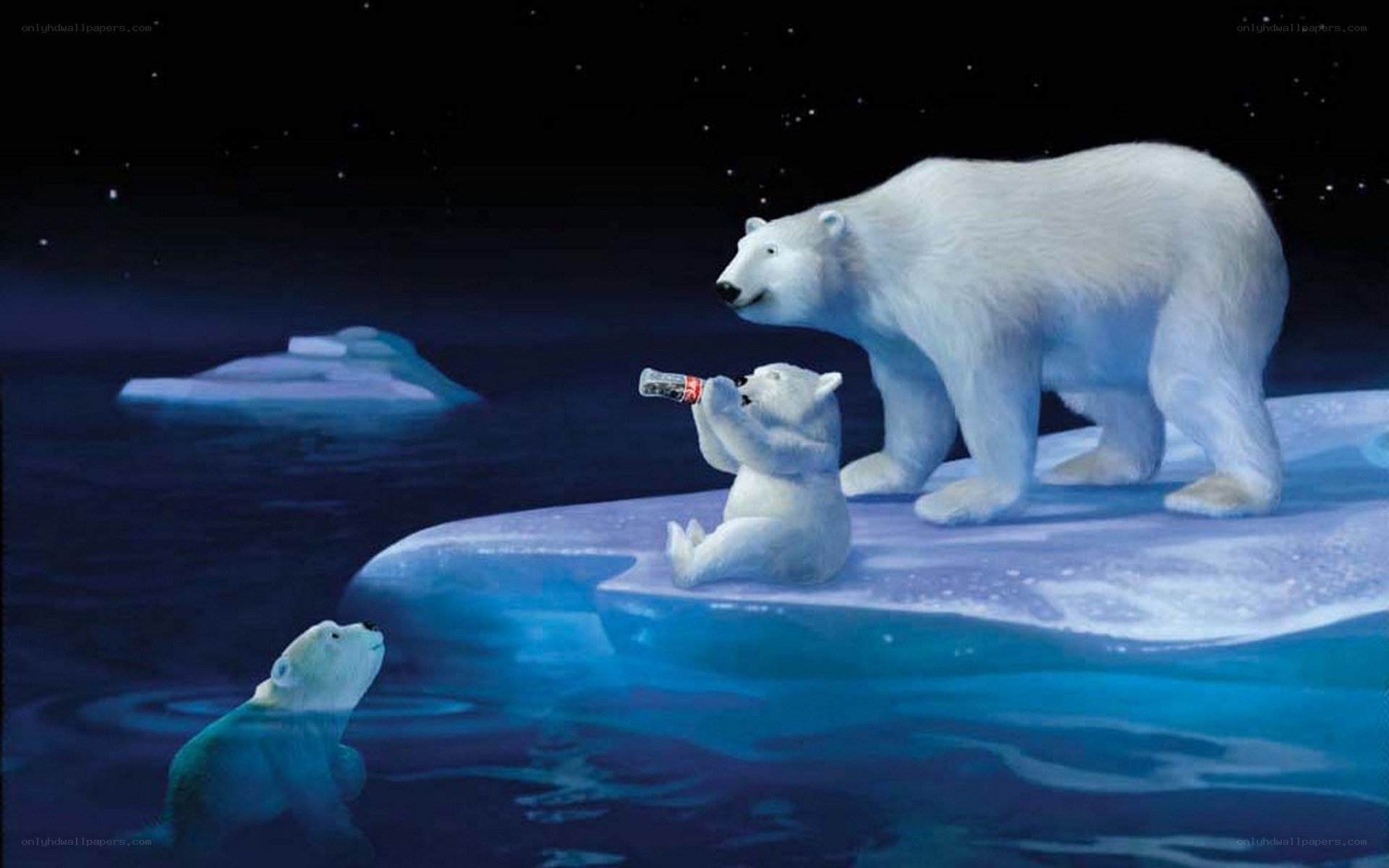 Polar bears on ice with soda