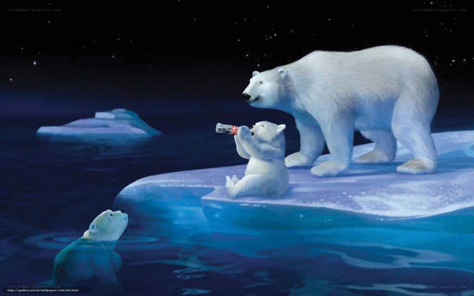 Polar bears on ice