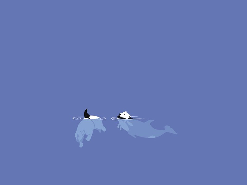 Polar Bears Swimming — Blue, Serene
