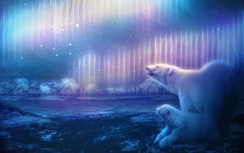 Polar Bears under Aurora — Blue