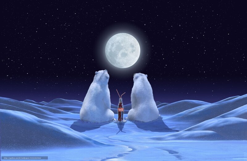 Polar bears under moonlight