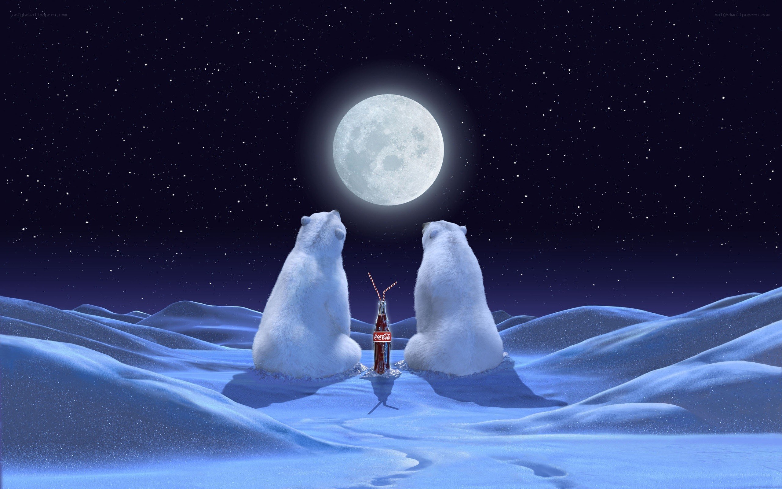 Polar bears under the moon