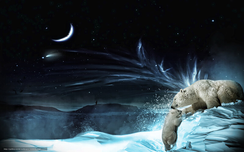Polar bears under the moon