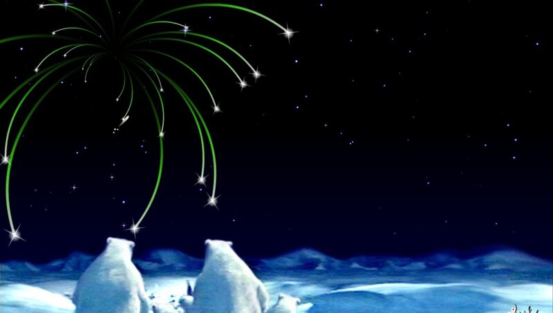 Polar Bears Watching Fireworks — Black
