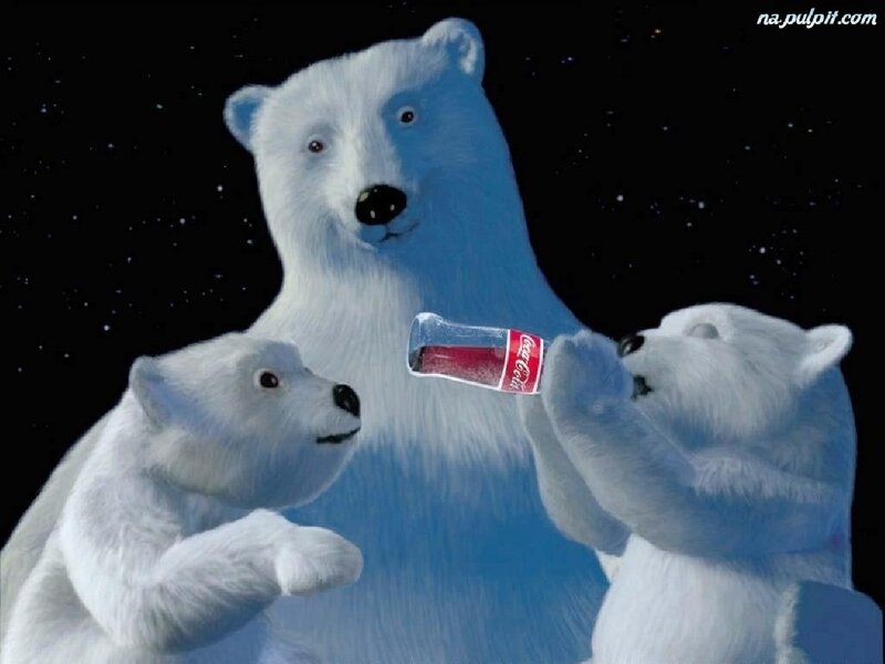 Polar Bears with Soda — White