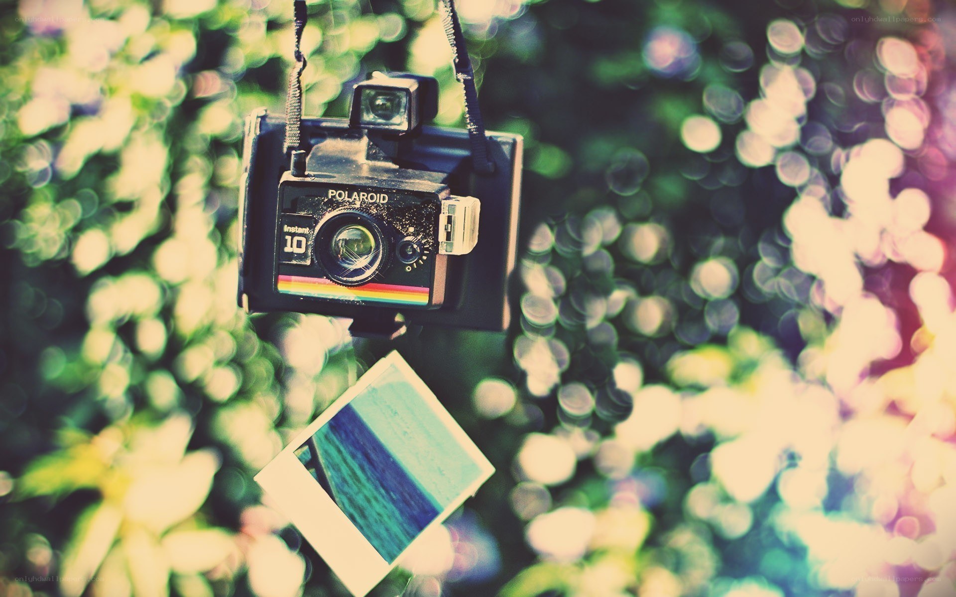 Polaroid camera hanging in nature