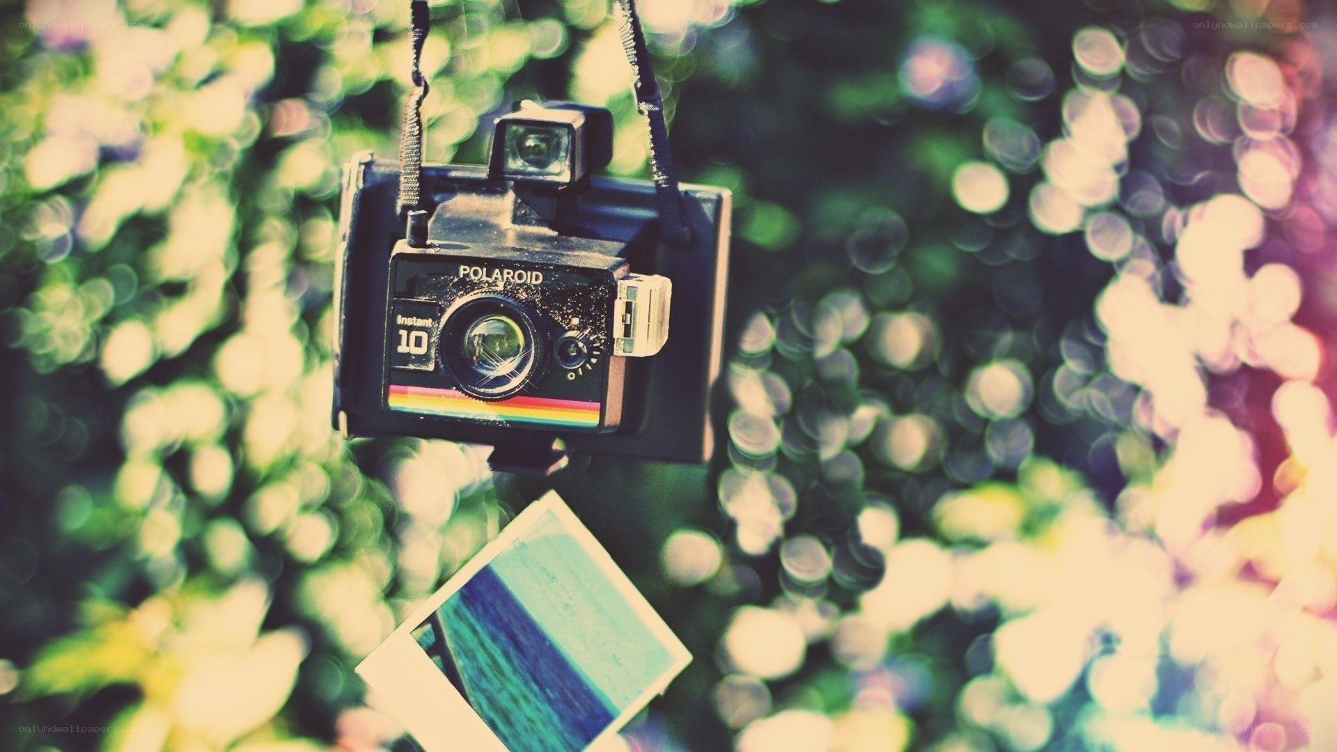 Polaroid camera in nature