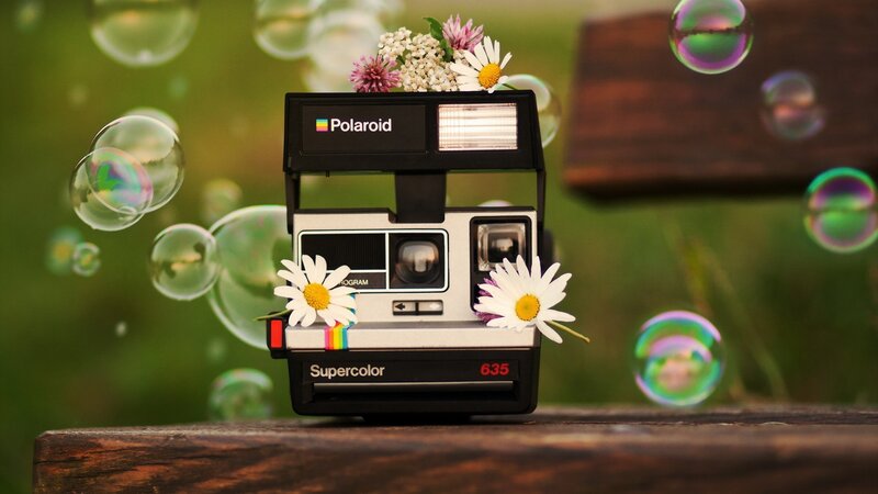 Polaroid Camera with Flowers — Green, Serene