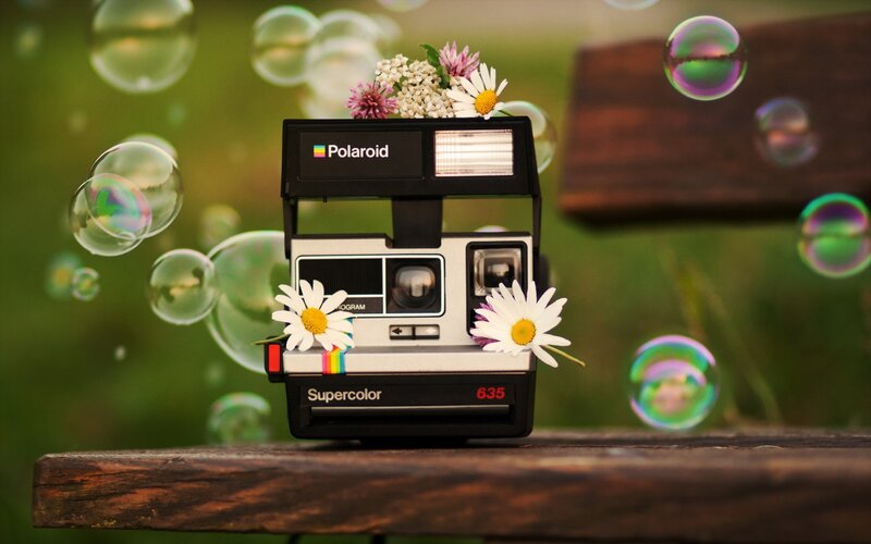 Polaroid Camera with Flowers — Green