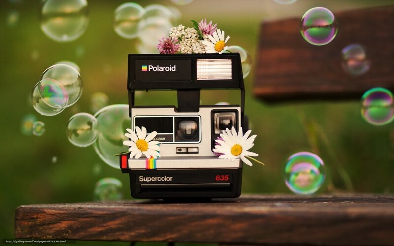Polaroid camera with flowers