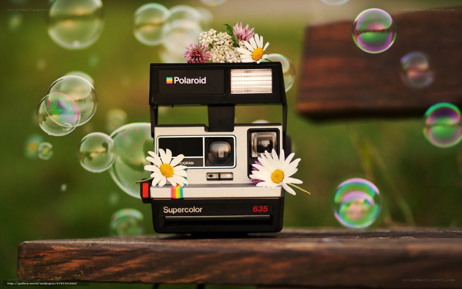 Polaroid camera with flowers