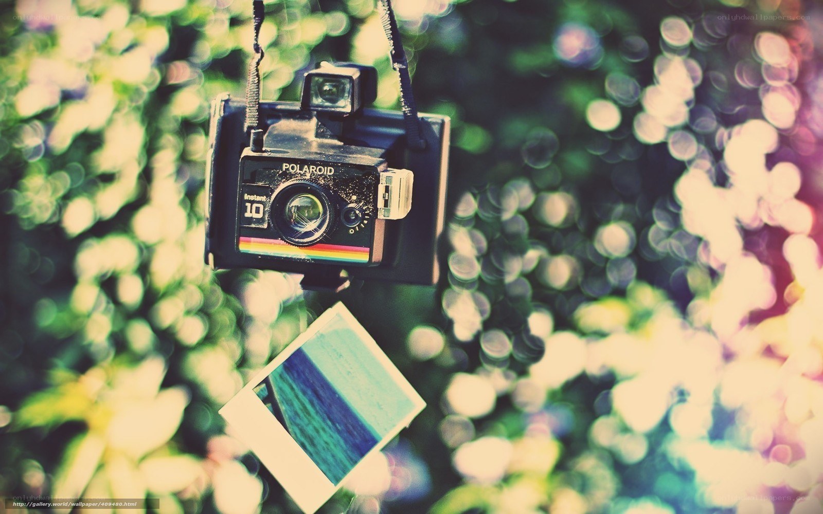 Polaroid camera with instant photo