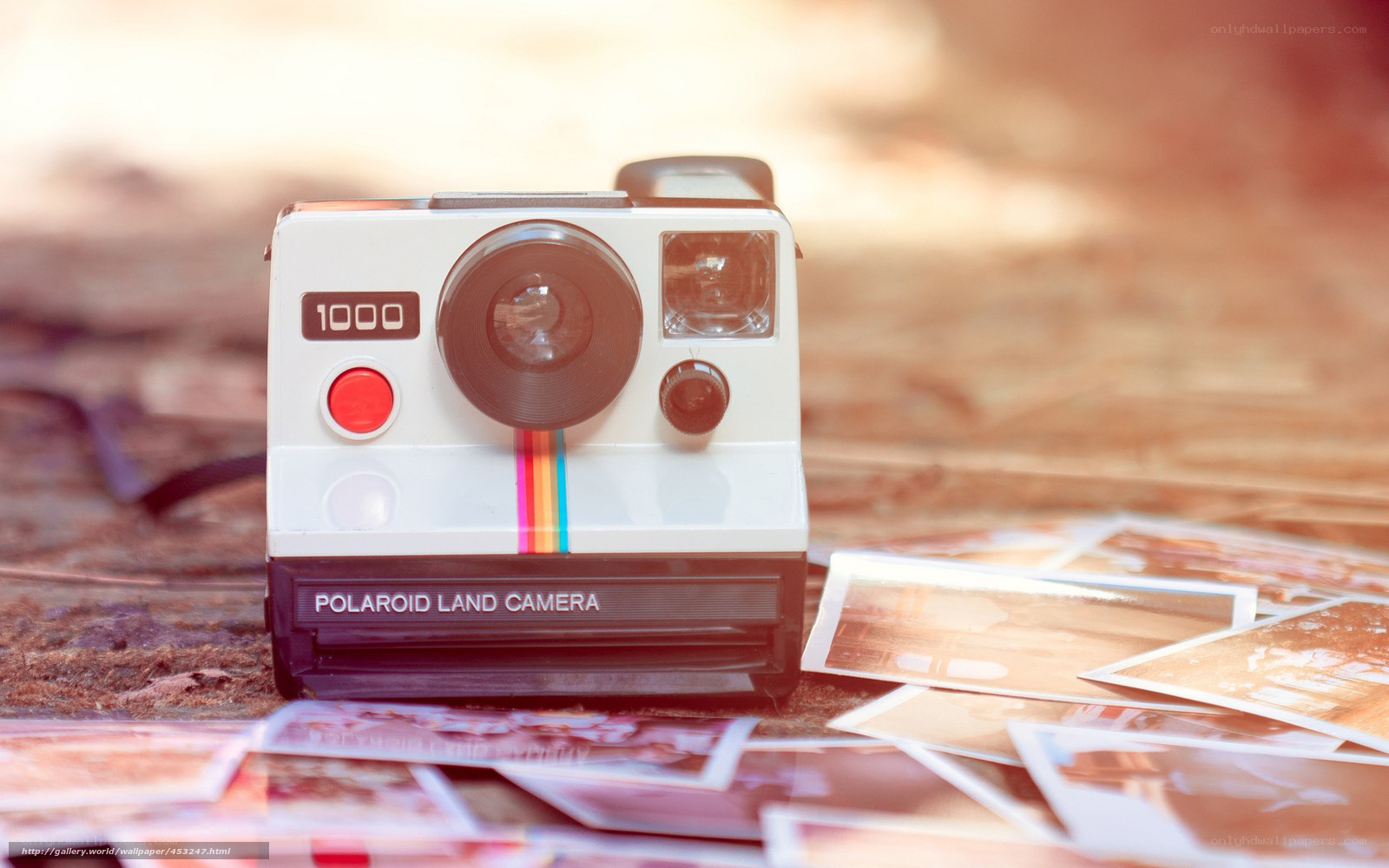 Polaroid camera with photos