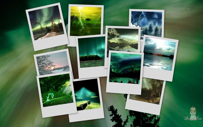 Polaroid collage of nature scenes
