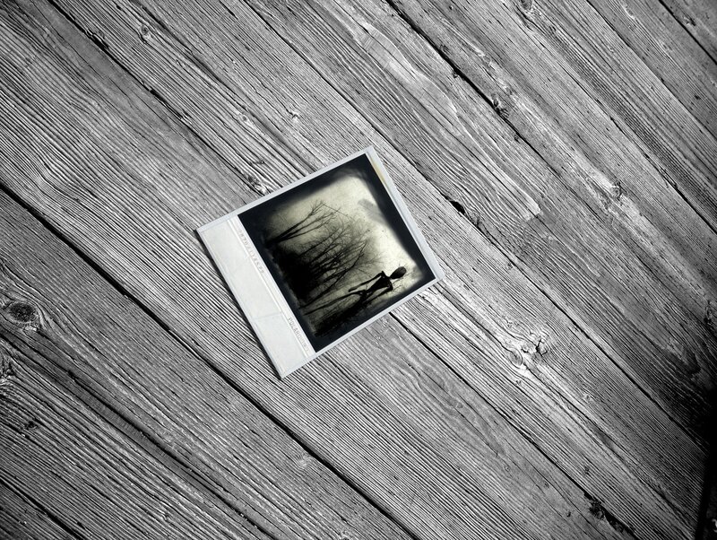 Polaroid Photo on Wood