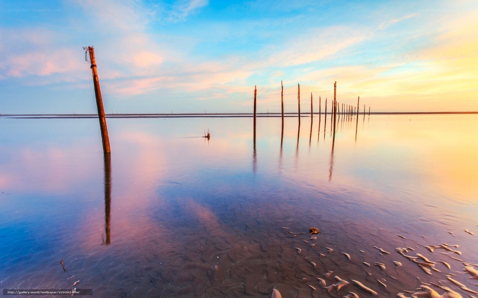 Poles in the water at sunset