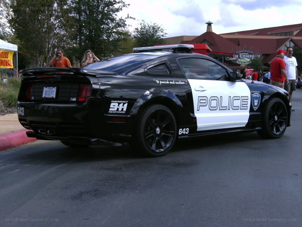 police car at outdoor event