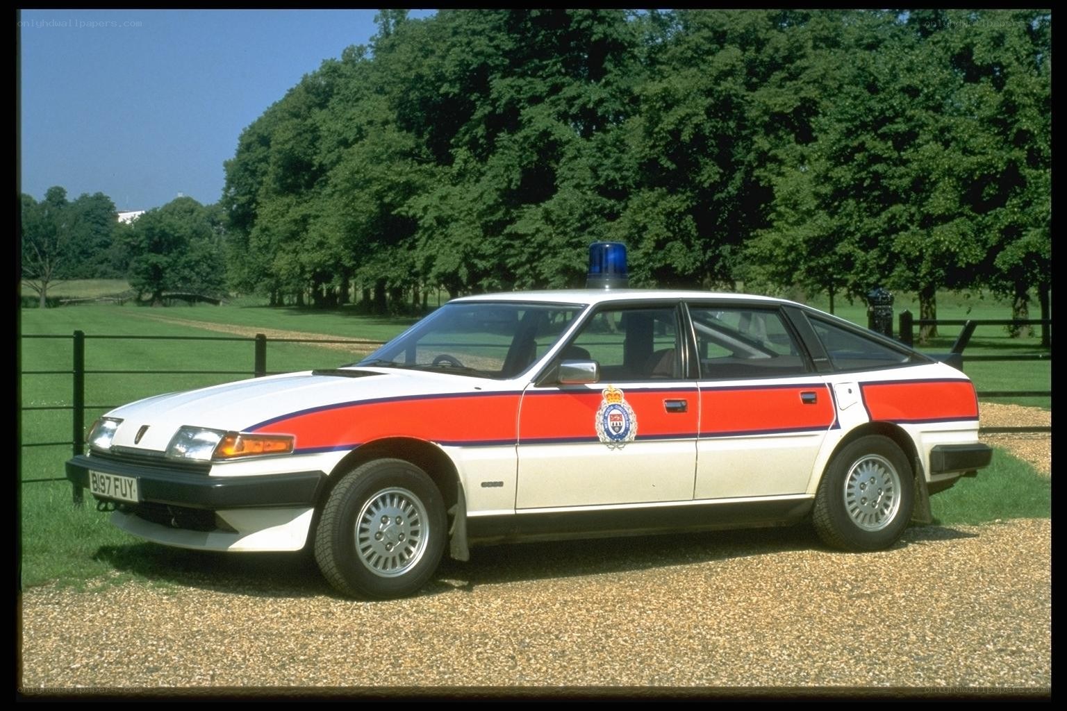 Police car in a park