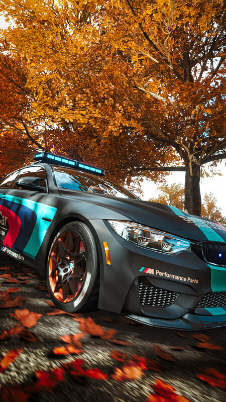 Police Car in Autumn