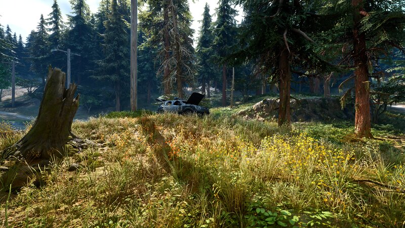 Police Car in Forest — Green