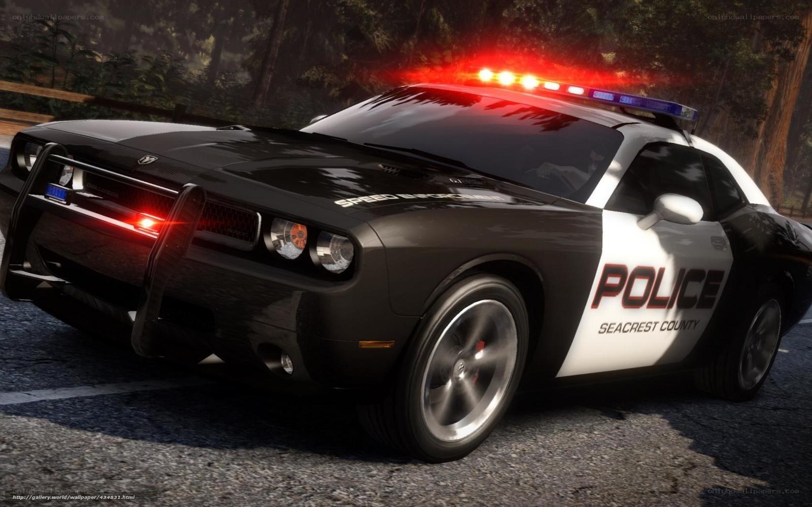 police car in forest