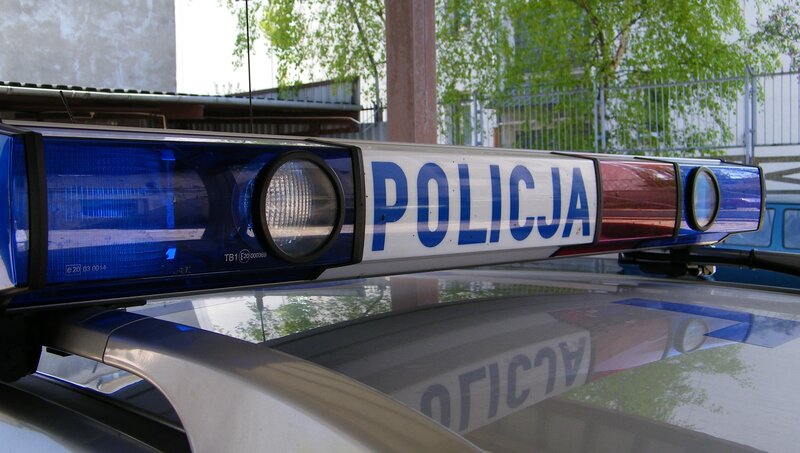 Police Car Light Bar — Blue, Neutral