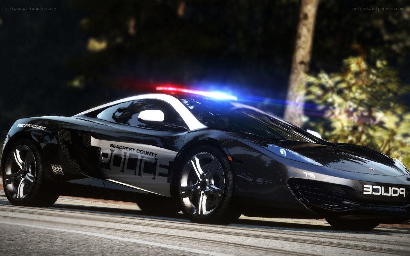 police car on a road