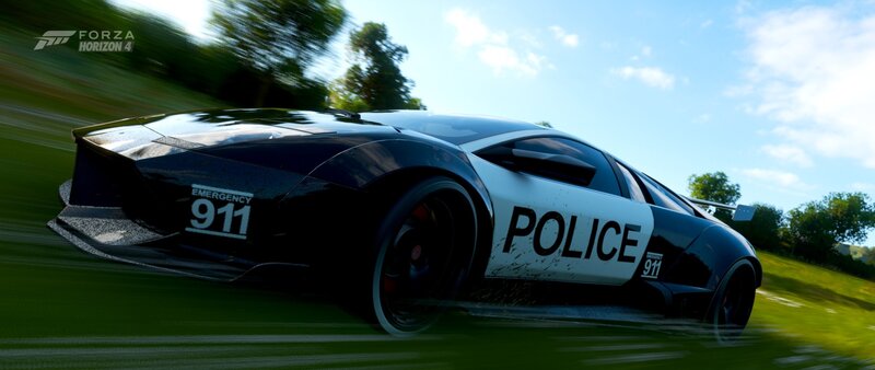 Police Car on Grass