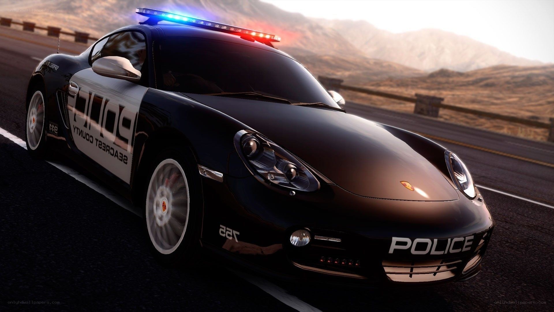 police car on highway