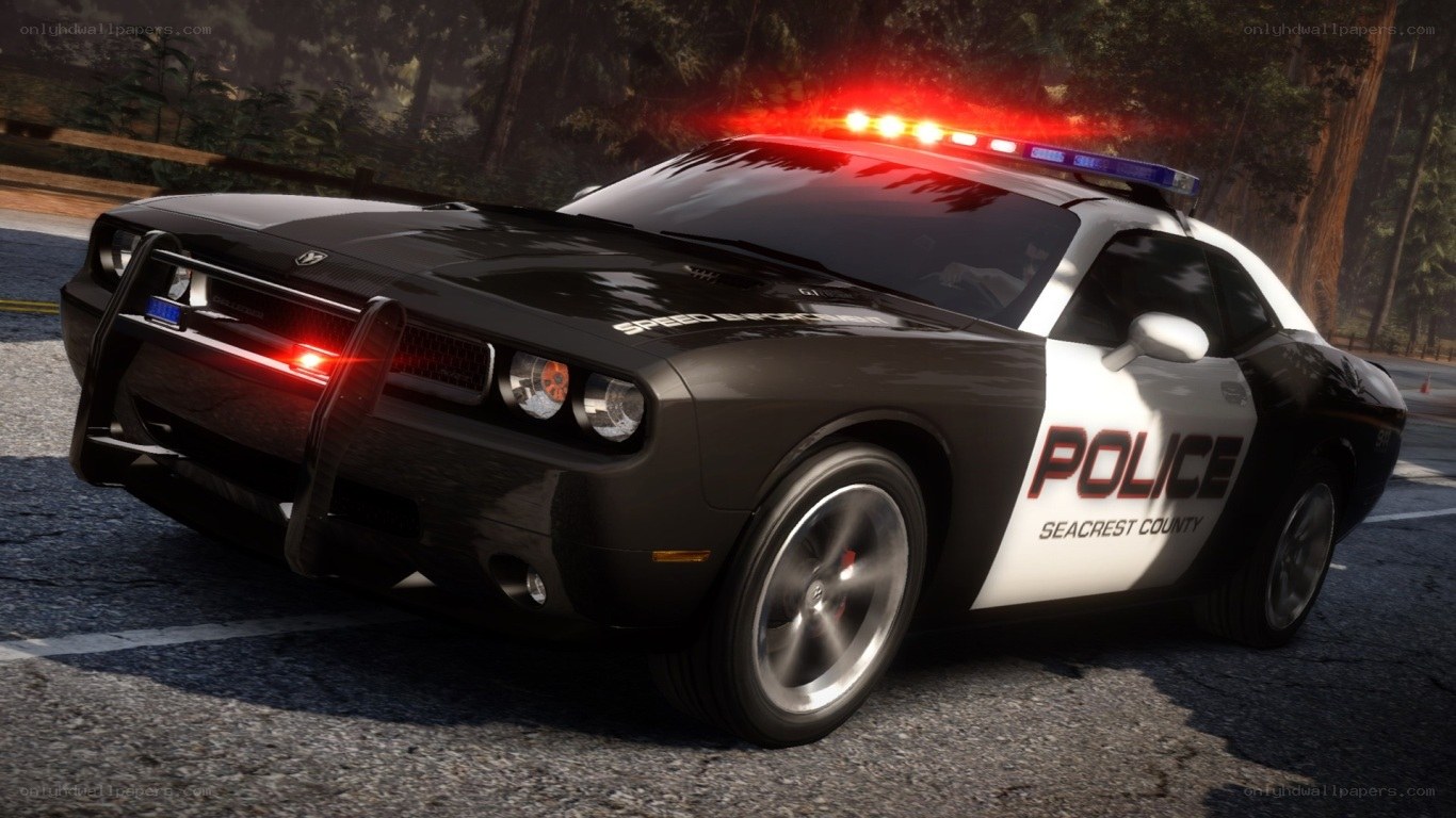 police car on road