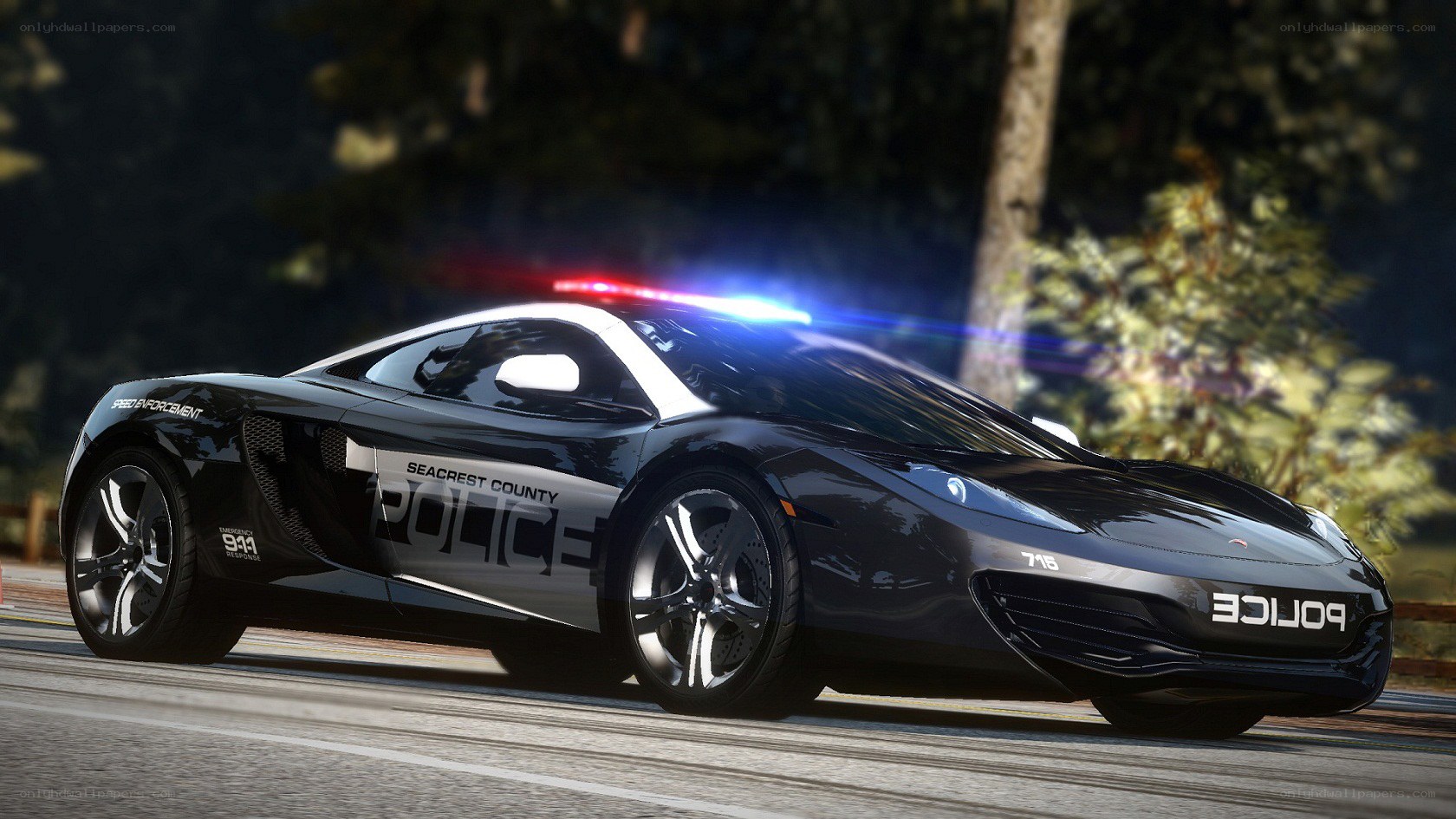 police car on road