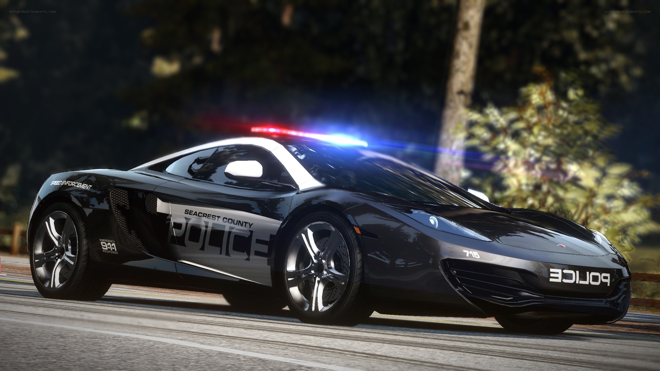 police car on road
