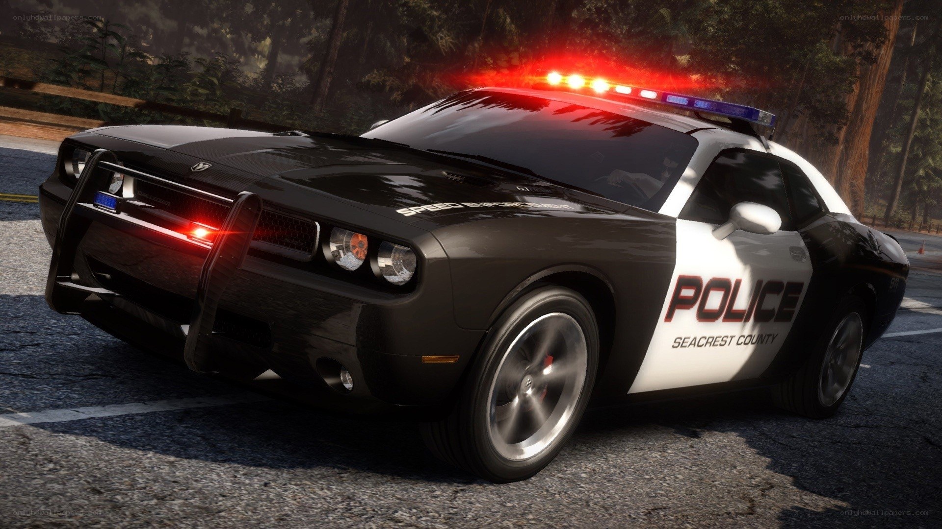 police car on road