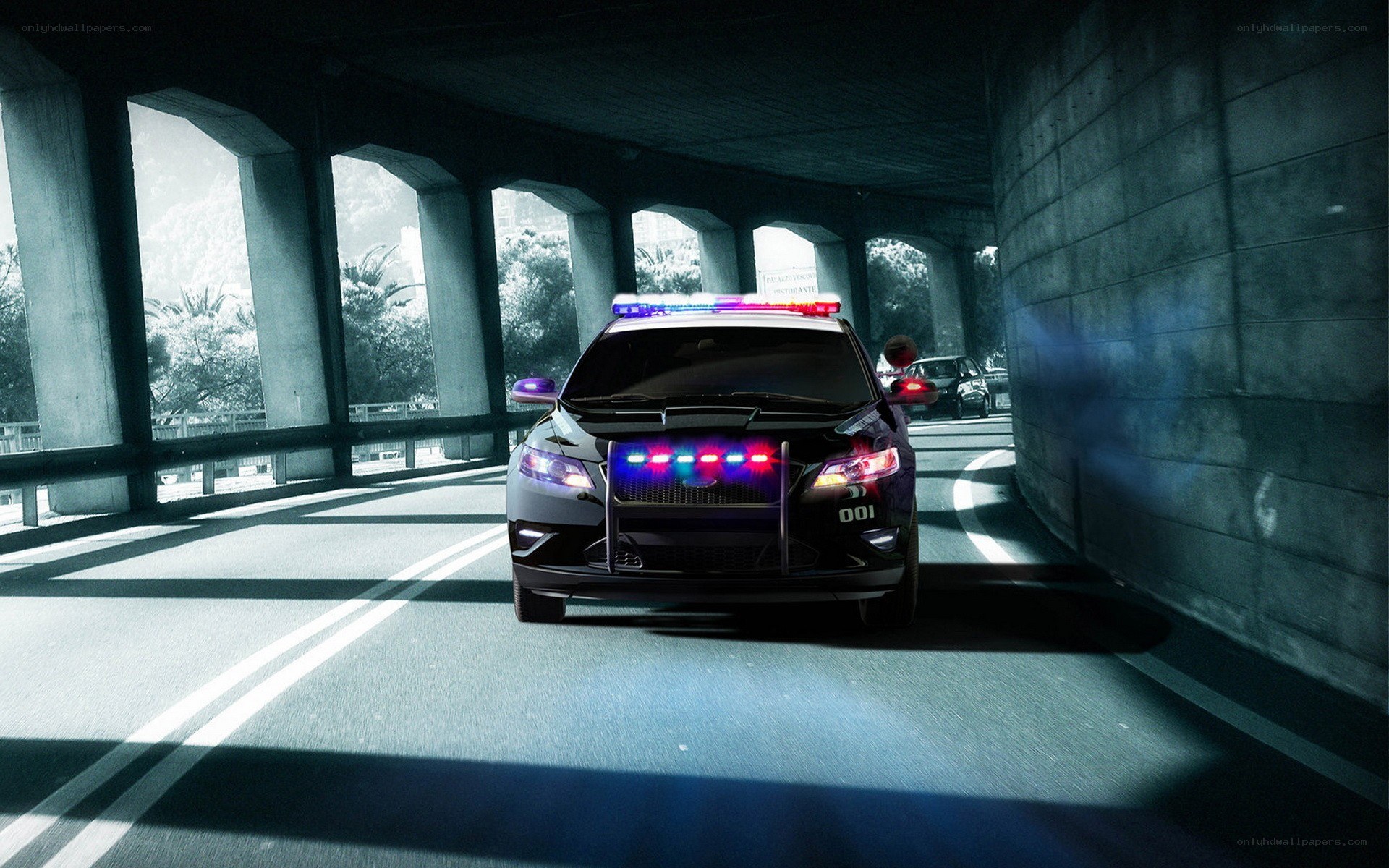 Police car under a bridge