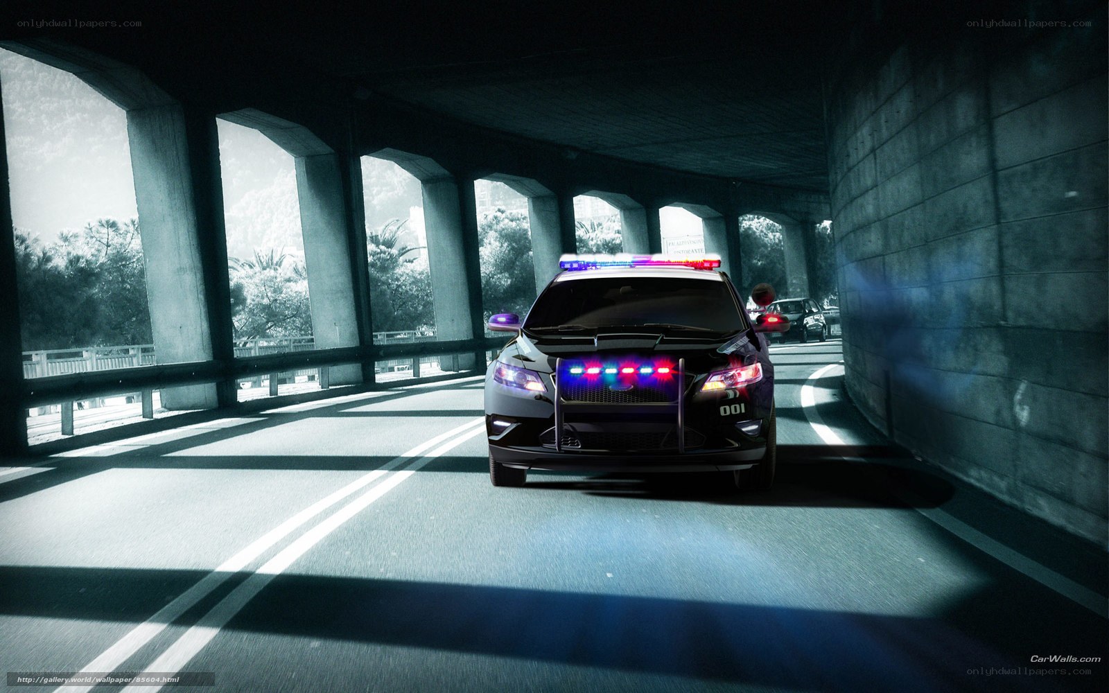 Police car under highway overpass