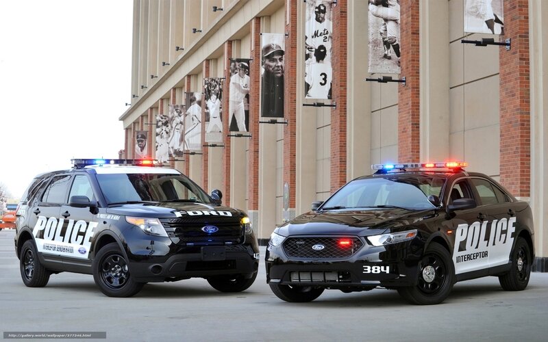 Police cars at stadium