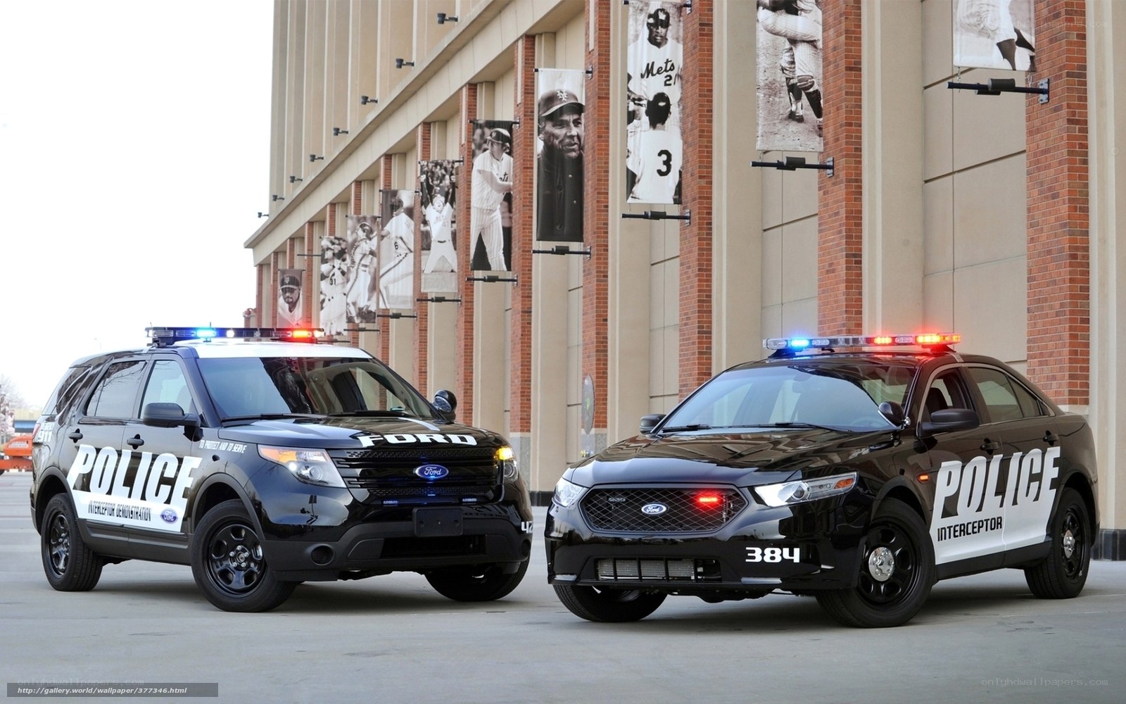 Police cars at stadium
