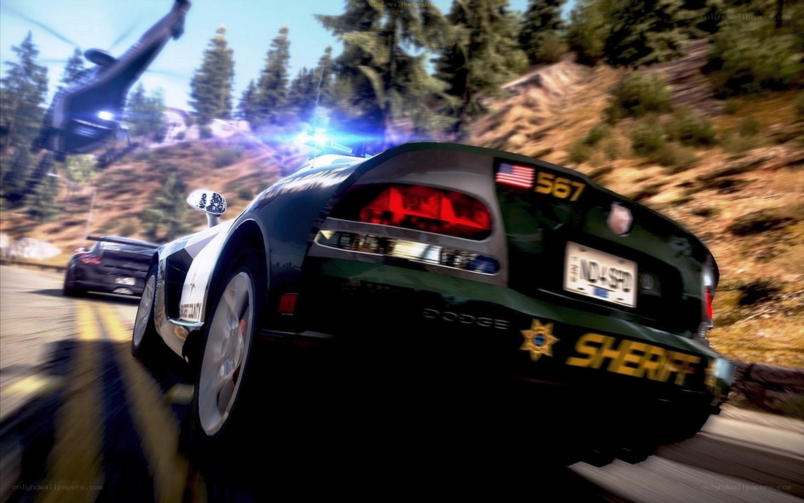 police chase in forest
